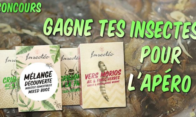 Gagne tes insectes pour l&rsquo;apéro